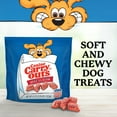 thumbnail image 4 of Canine Carry Outs Beef Flavor Dog Treats, 47oz Bag, 4 of 10