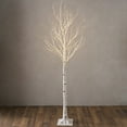 thumbnail image 2 of Plow & Hearth Extra Large Indoor/Outdoor Birch Tree with 750 Warm White Lights, 2 of 3