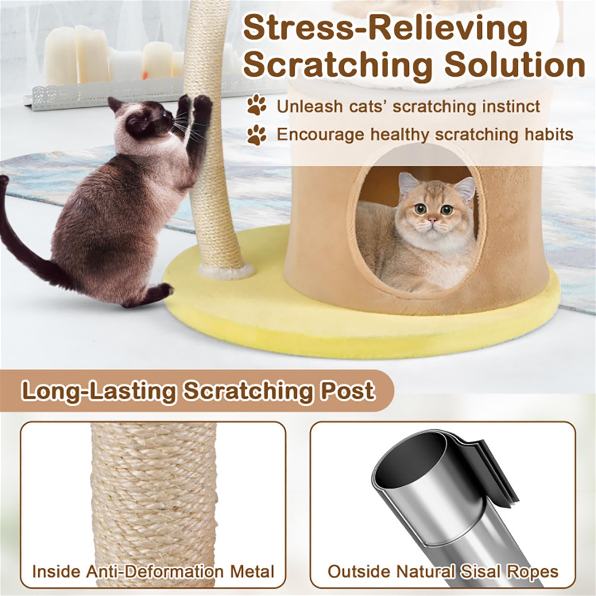 Kadyn 33" Small Cat Tree Tower with Cat Scratching Post for Indoor Cats, Featuring with Cat Condo and Cozy Perch for Kittens and Cats, White
