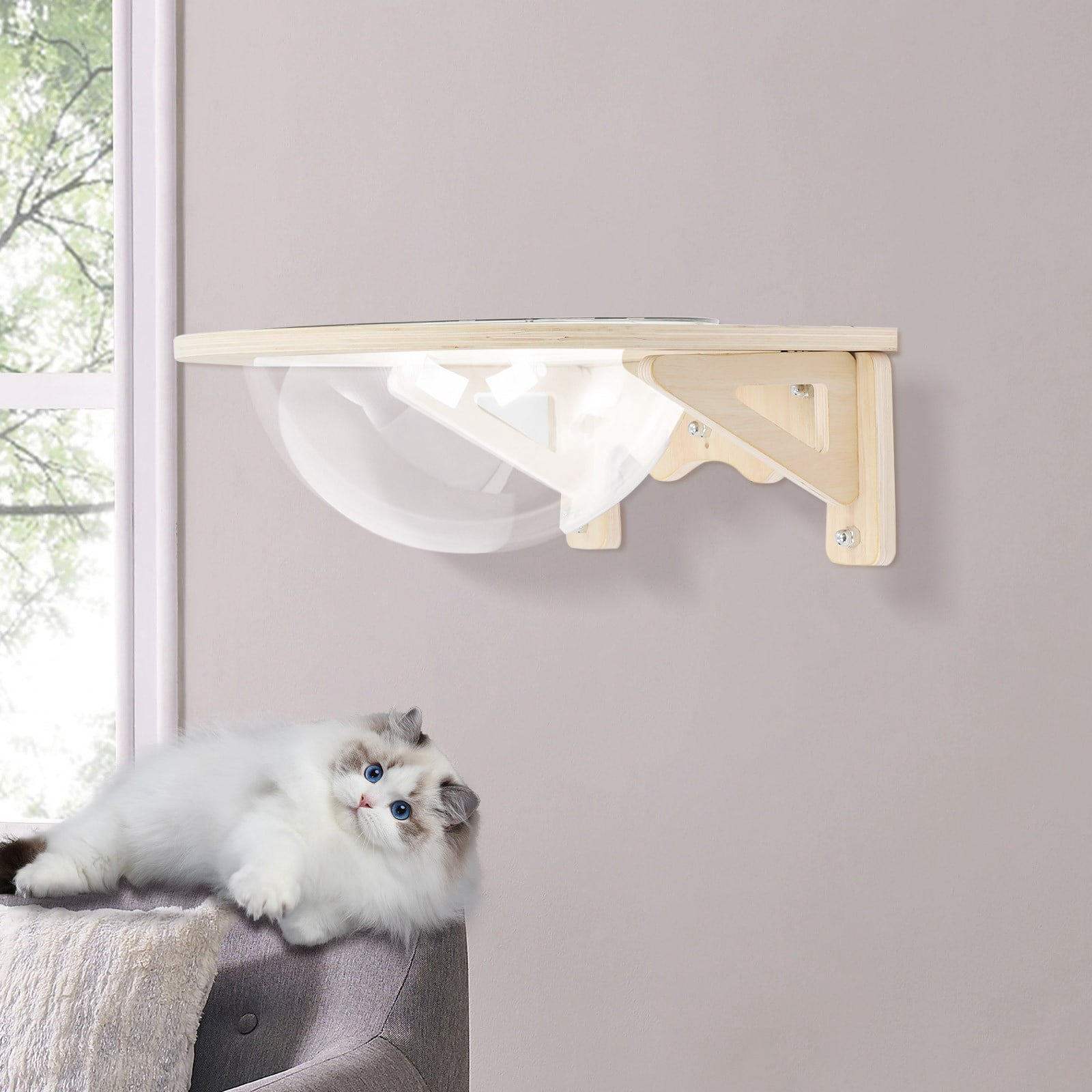 Cat Window Perch, Wall Mounted Transparent Cat Bed House, 15.75 Inch Clear Cat Hammock with Suction Cups & Screws, High Capacity 16.5lbs for Indoor Cats, Space Saving Cat Furniture
