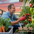thumbnail image 3 of ⭐ Professional 16-16-16 All Purpose Garden Fertilizer for Lawns, Flowers, Trees, Shrubs & Vegetables - 16 16 16 Slow Release Granular Fertilizer (8 OZ), 3 of 4