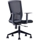 thumbnail image 4 of Silla Star6 Grupo Microtec Oficina ejecutiva SemiEjecutiva Secretarial Baja Malla Mesh Moderna Ajustable Elegante Hogar Escritorio Ergonomica reposabrazos Grupo Microtec AB-60, 4 of 4
