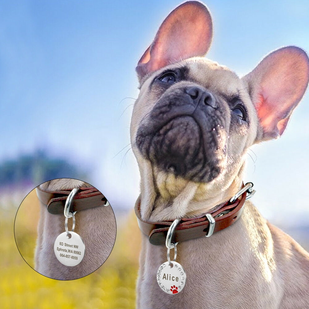 Flmtop 5pcs Pet Dog Round Anti Lost Paw Rhinestone Id Name Tags Ring Collar Pendant Big Red Other 5pcs