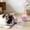 Pink, variant on Interactive Owl Wobble Cat Toy with Built-In Squeaky Ball, Feathered Roly Poly Plaything for Indoor Cats, Engaging Hunting Instinct Stimulation, Stress Relief and Independent Entertainment