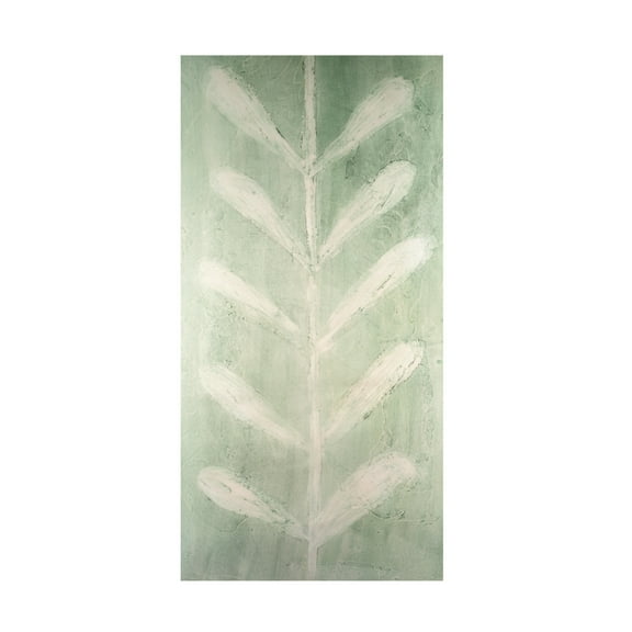 Canvas Wall Art - Vanna Lam 'Veriegatas II' Wall Art for Living Room, Bedroom, or Office Décor by Trademark Fine Art - 10 x 19 Inches