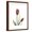 Brown Frame, variant on Art.com Ruby Tulip Stretched Canvas Print Wall Art by Albert Koetsier, 12" x 16"
