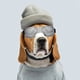 thumbnail image 4 of Gafas para perros a Prueba de Rayos UV, Cómodas y Elegantes Gafas de Sol para Perros Con Correa Ajustable, Protegen los Ojos para actividades al aire libre, 4 of 7