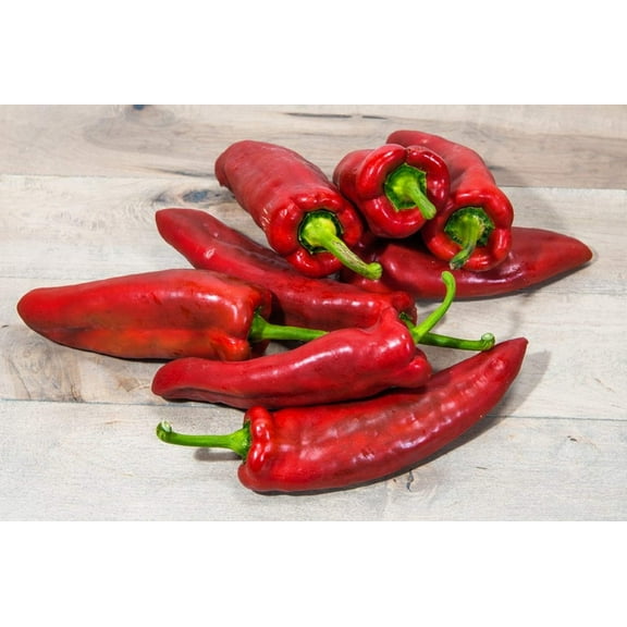 60 Seeds RED MARCONI PEPPER Rossa Large Sweet Italian Frying Capsicum Annuum Seeds