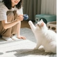 thumbnail image 4 of Smart Jumping Interactive Dog Toy with Glowing Vibration USB Rechargeable for Puppies and Medium Dogs, 4 of 6
