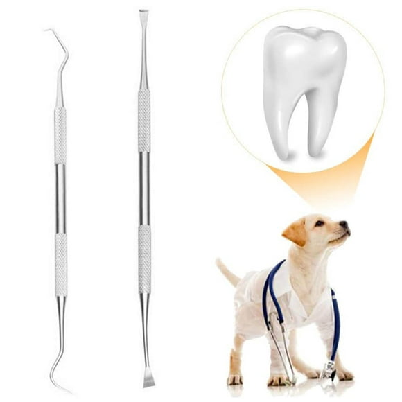 Professional Dental Tools, Dog Dental Tooth Scaler and Scraper Stainless Steel Tartar Remover, 2 Pack Stainless Steel Teeth Cleaning Tools for Dogs, Cats