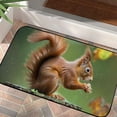 thumbnail image 4 of ONETECH Squirrel Nut Forest Kitchen Floor Mat Dog Doormat Absorbent Welcome Entrance Doormat Non-Slip Durable Entrance Mat for Home Entrance Outside Entry 19.68*39.37 in, 4 of 6