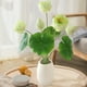 thumbnail image 4 of Flor de lirio de loto artificial de loto | Arreglo floral flotante de finta felpa de vellón de seda realista | Rosa Blanco Verde | Acento decorativo de 13,78" para el Salón Buda, casa, mesa de, 4 of 6