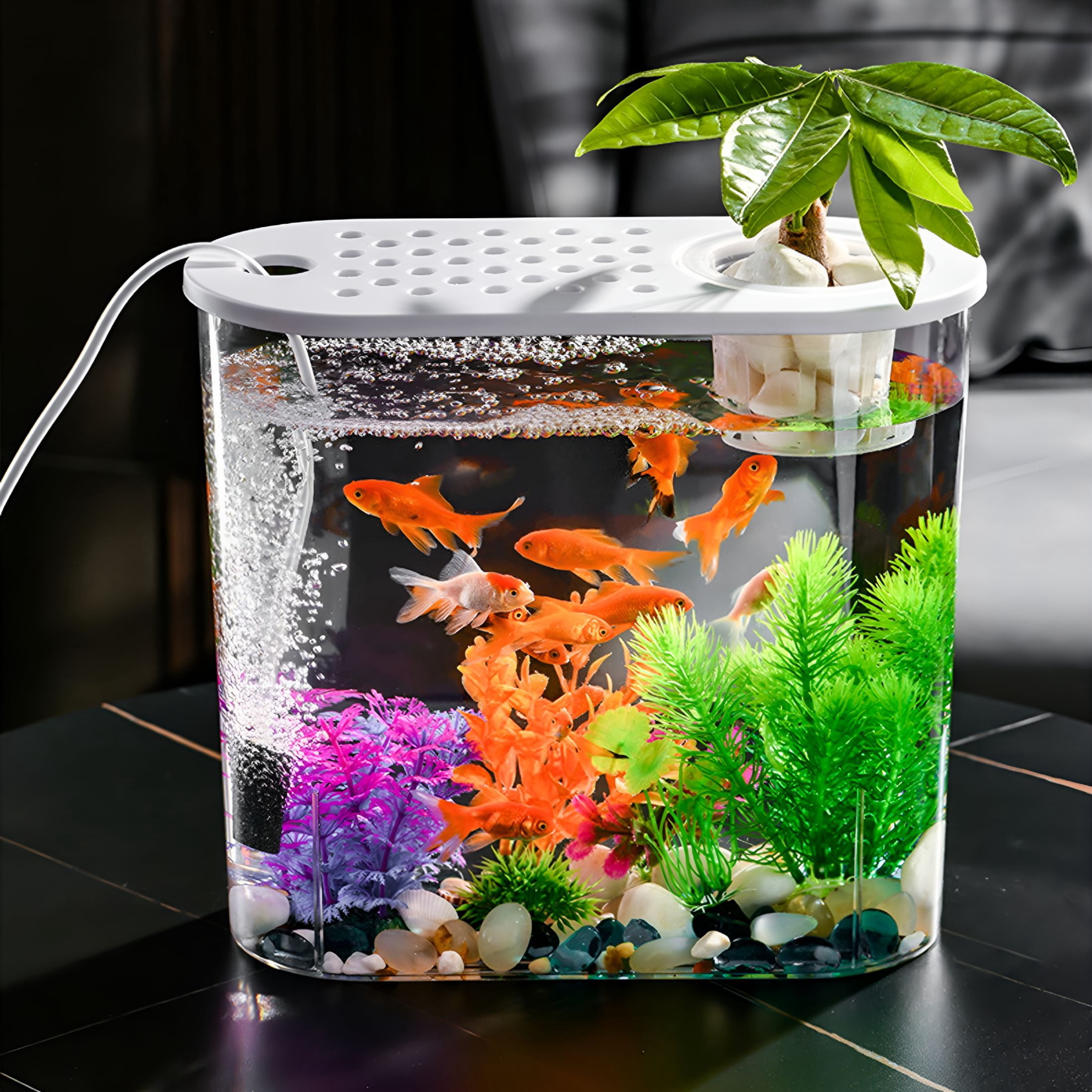ACDANC Small Fish Tank 2 Gallon Glass Aquarium Starter Kits, Desktop Betta Fish Tank Beta Fish Aquariums with Filter and Light, Room Desktop Decor, Gifts