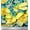 Black, variant on Soimoi Silk Fabric Leaves, & Lemon Vegetable Printed Fabric 1 Yard 42 Inch Wide