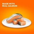 thumbnail image 4 of Iams Proactive Health Salmon Dry Cat Food, 7 Lb Bag, 4 of 17