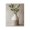 Eucalyptus Still Life Vase, variant on Stupell Industries Farmhouse Vase Of Abstract Time Canvas Art, 16 x 20, by Svetlana Aleynikova