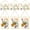 Gold, Transparent, variant on 6 Pcs Pressed Flower Glass Picture Frames 6 x 4 Inch Brass Hanging Double Glass Frame Gold Floating Photo Frame Clear Horizontal Vertical Frames with Chain for Gallery Vintage Artwork Display