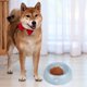 thumbnail image 2 of Comedero Para Perros, Cuencos Para Agua, Cuencos Para Comida, Comederos De Plástico Para Perros Pequeños Y Medianos, Cachorros Y Gatos, 2 of 3