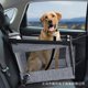 thumbnail image 2 of New dog car pet carrier foldable breathable car screen ShopWise Round, 2 of 9