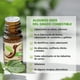 thumbnail image 2 of Paquete DE 12 Aceites Esenciales BARRO MOJADO Grado Alimenticio Frascos Pequeños, 2 of 6