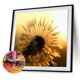 thumbnail image 1 of DIY 5D diamante pintura animal Likrtyny decoración de arte, 1 of 8