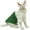 Green, variant on HQREA Hairless Cat Winter Coat, Fleece Cat Sweatshirt Pajamas for Cold Weather Cat Apparel