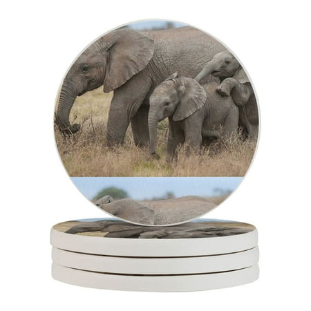 

Circular Drink Coasters Set Elephant Mom And Baby Elephant Beautiful Home Decor Diatomite Heat-Resistant Diatomite Protect Table Countertop
