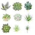 thumbnail image 3 of Succulent Plant DIY Simulation Mini Plastic Artificial Plant Flower for Garden Home Decor Random Color Style  16Pcs, 3 of 10