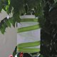 thumbnail image 4 of EeaseMX Jaula para insectos portátil de 2 piezas, jaula para libélulas, juguetes de exploración natural al aire libre para niños., 4 of 7