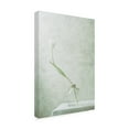 thumbnail image 4 of Canvas Wall Art - Delphine Devos 'Ephemeral White 2' Wall Art for Living Room, Bedroom, or Office D?cor by Trademark Fine Art - 12 x 19 Inches, 4 of 4