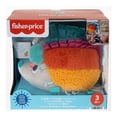 thumbnail image 4 of Erizo Fisher Price Newborn Estímulos y Juego, 4 of 4