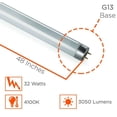 thumbnail image 2 of F32T8 32W 48 Inch T8 Fluorescent Light Bulb | 4100K Cool White Medium Bi-Pin Base | 3050 Lumens 86 CRI 24000 Life Hours | Instant/Programmed Start | 25 Pack by GoodBulb, 2 of 6