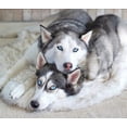 thumbnail image 2 of Paw Brands Dog Bed Faux Fur Memory Foam Pet Bed White Curve 60L X 35w inches, 2 of 7