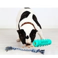 thumbnail image 2 of Juguetes para masticar con cuerda para perros, cepillo de dientes, palo de limpieza para perros pequeños y medianos, cepillo de dientes para razas pequeñas, Indestructible, 2 of 4