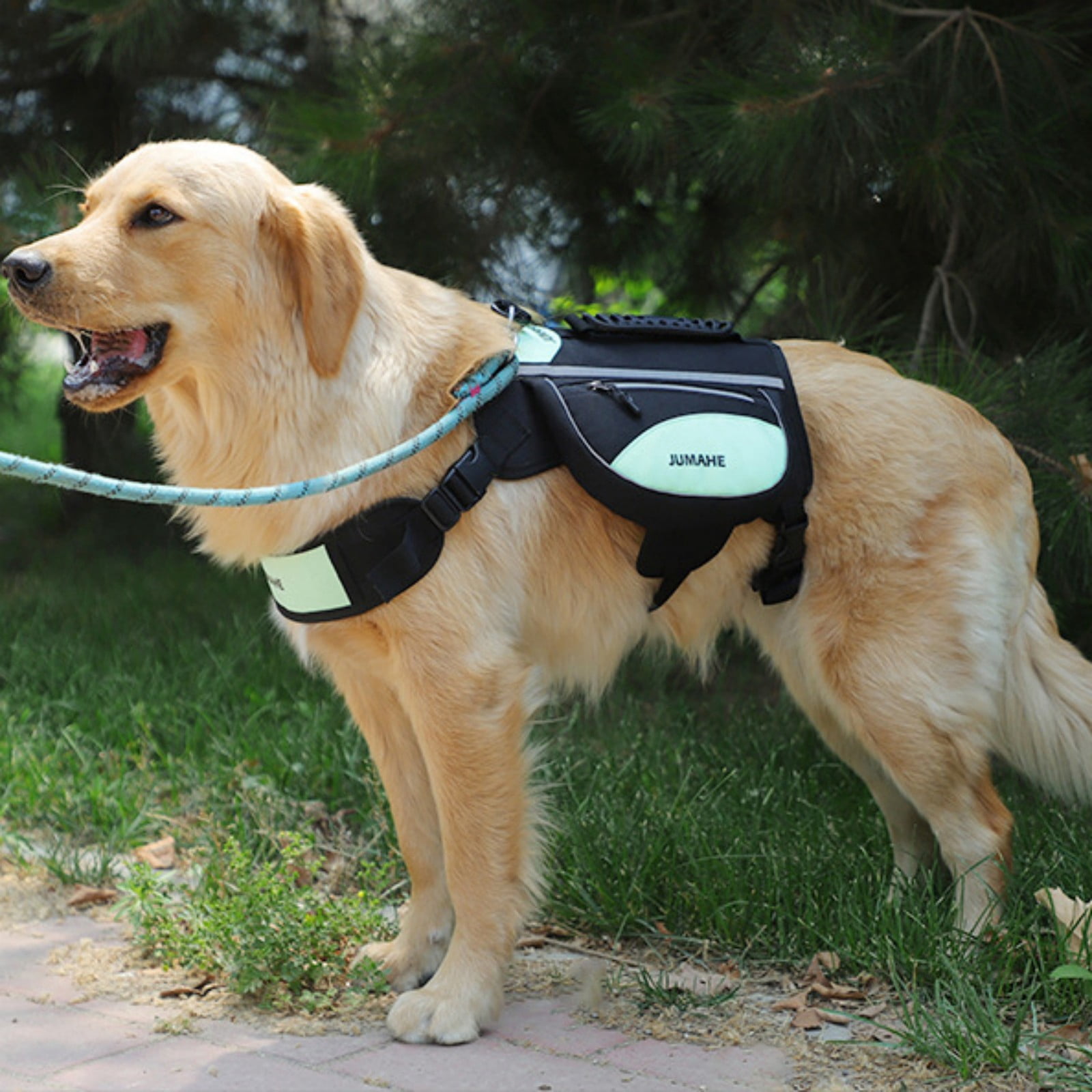 Jaucin Large Dog Backpack Pet Outdoor Self - Carrying Backpack - Anti - Pull, Breathable, Reflective Dog Pack