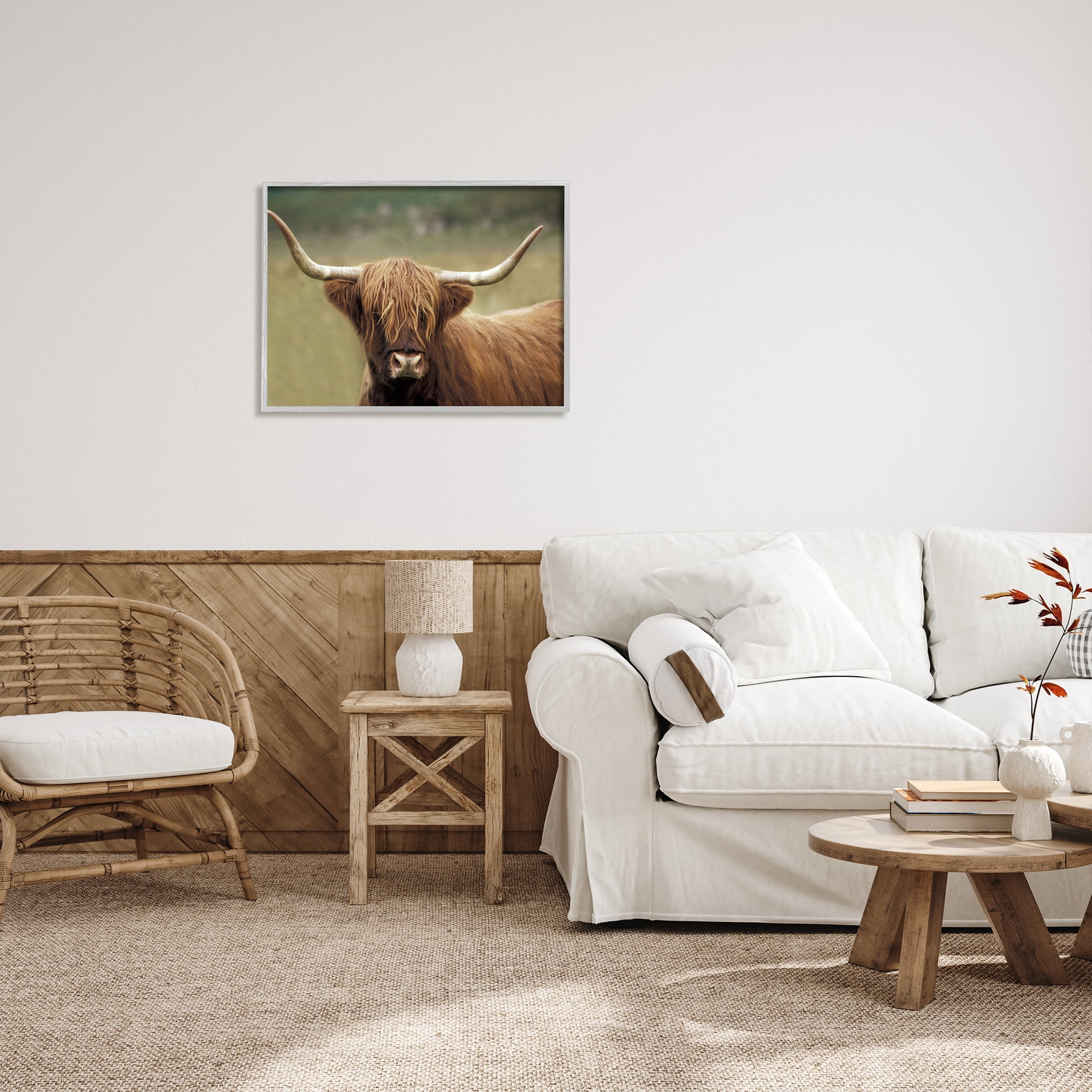 Stupell Industries Highland Cattle Shaggy Hair Country Animal Portrait Photography, 30 x 24, Design by Danita Delimont