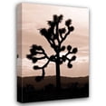 thumbnail image 1 of Erin Berzel 23x32 Gallery Wrapped Canvas Wall Art Titled - Yucca Brevifolia II, 1 of 4