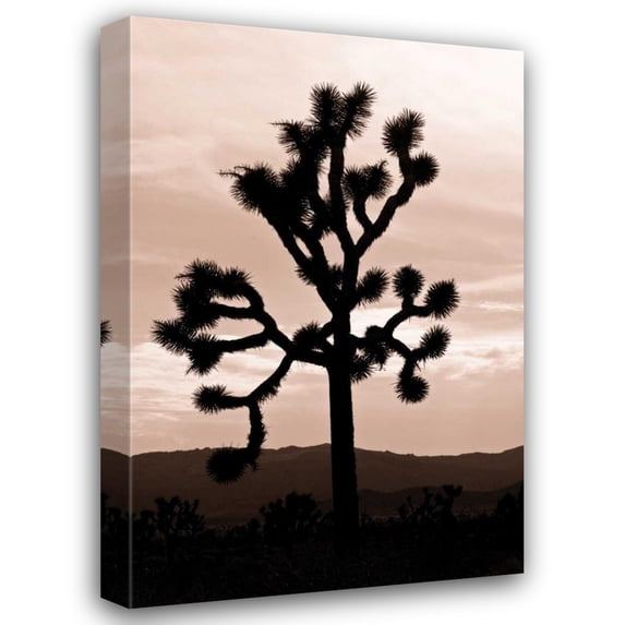 Erin Berzel 23x32 Gallery Wrapped Canvas Wall Art Titled - Yucca Brevifolia II