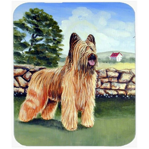 9.5 x 8 in. Briard By the Stone Fence Mouse Pad, Hot Pad or Trivet