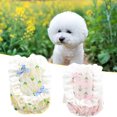 thumbnail image 2 of Exquisite Pet Dress Pattern with Bow knot Lace Design Button Closure Breathable Sun Acrylic Fiber Floral Printing Dog Princess Dress Pet Garment, 2 of 8