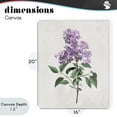 thumbnail image 4 of Stupell Industries Transitional Lilac Herb Blossoms Canvas Art, 16 x 20, by Kim Allen, 4 of 8