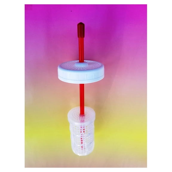 Kefir Fermenter: Set for Mason Jar you already have (regular mouth lid, 120cc container for grains)