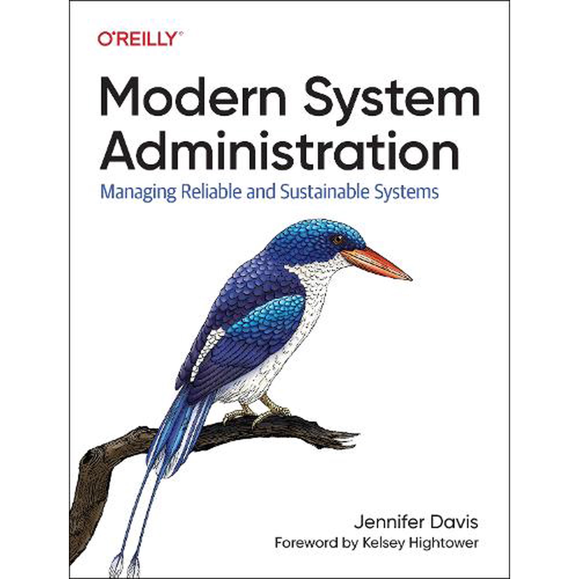 Modern System Administration: Managing Reliable and Sustainable Systems (Paperback)
