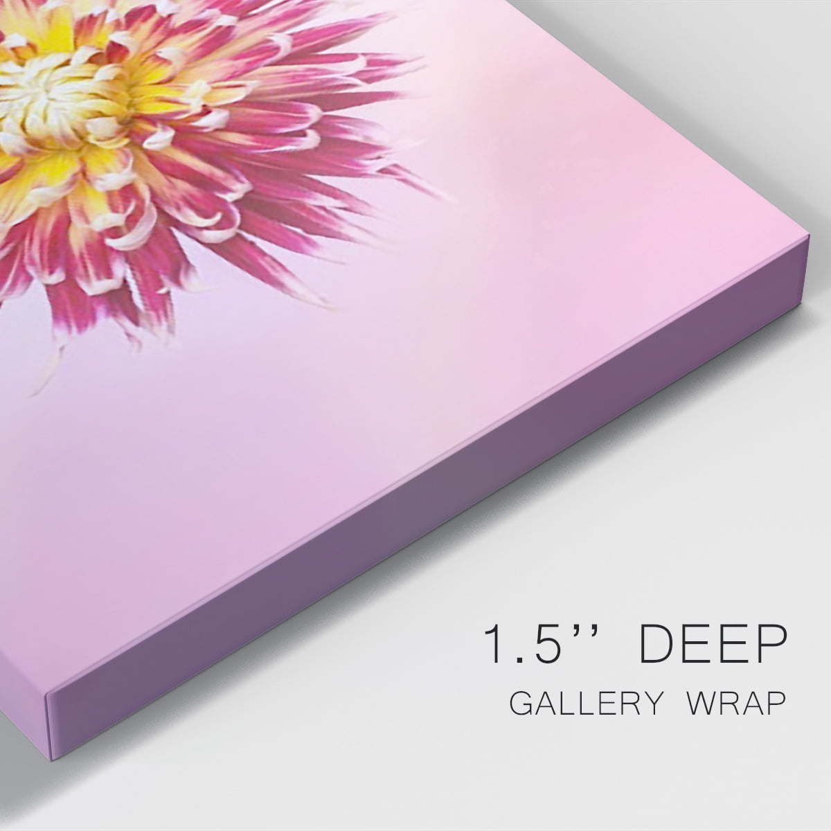 Exotic Flower Burst I Premium Gallery Wrapped Canvas - Ready to Hang