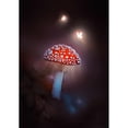 thumbnail image 3 of Love Grams 14x18 Black Modern Framed Museum Art Print Titled - Mushroom Magic, 3 of 5
