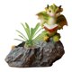 thumbnail image 5 of Maceta Decorativa De Mesa, Adorno De Dinosaurio, Decoración De Maceta De Flores De Animales Kearding HA039901-02, 5 of 6