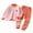 C434 Pink, variant on CONZONE Toddler Girls Outfits 2 Piece Set Long Sleeve Cartoon Graphic Tops and Jogger Pants Soft Fall Winter Loungewear Clothes for Girls Size 3-4 Years