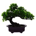 thumbnail image 6 of LABSERRON Lifelike Shape Desktop Bonsai Tree Simulation Bonsai Plastic Decoration 1Set, 6 of 8