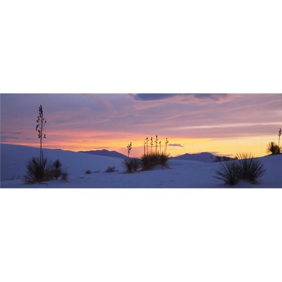 Panoramic Images PPI51804L Silhouette of Soaptree Yuccas, Yucca Elata in Desert White Sands National Monument New Mexico Usab663 Poster Print, 36 x 12