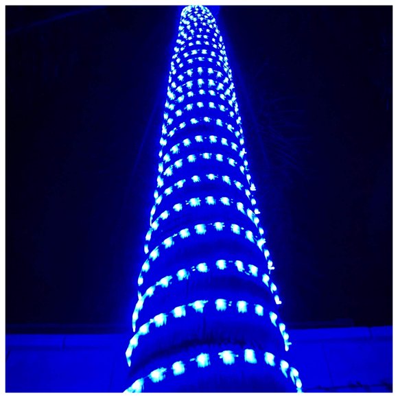 Russell Decor LED Rope Lights Festival Holiday Party Seasonal Christmas Decoration 30ft - 200ft Customized Available (Blue, 30)